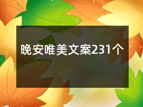 晚安唯美文案231個