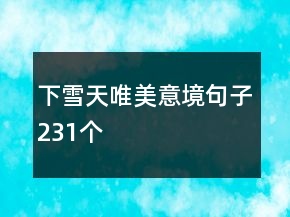 下雪天唯美意境句子231個(gè)