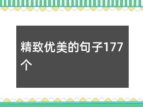精致優(yōu)美的句子177個