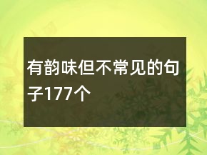 有韻味但不常見的句子177個(gè)