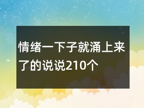 情緒一下子就涌上來了的說說210個