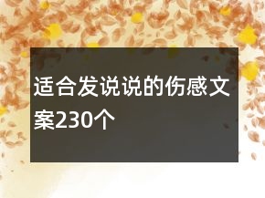 適合發(fā)說說的傷感文案230個