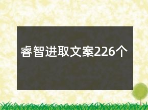 睿智進(jìn)取文案226個(gè)