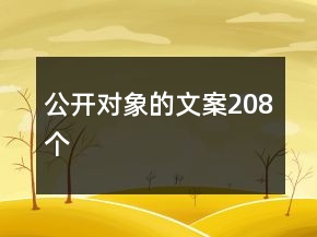 公開對象的文案208個(gè)
