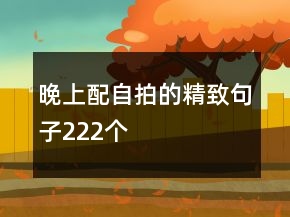 晚上配自拍的精致句子222個(gè)