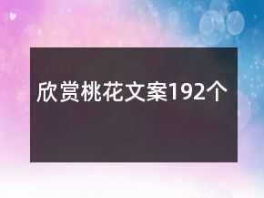 欣賞桃花文案192個