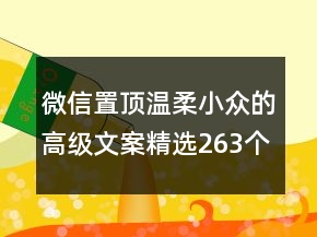 微信置頂溫柔小眾的高級文案精選263個