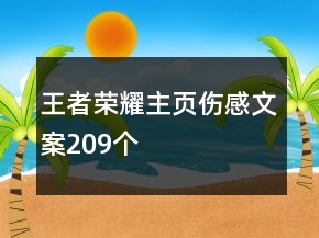 王者榮耀主頁(yè)傷感文案209個(gè)