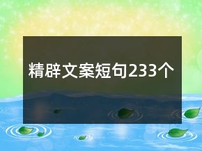精辟文案短句233個