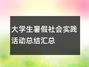 大學(xué)生暑假社會實踐活動總結(jié)匯總