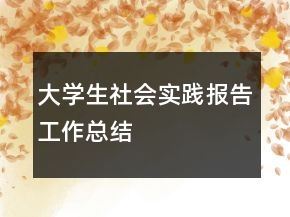 大學(xué)生社會實踐報告工作總結(jié)