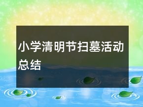小學(xué)清明節(jié)掃墓活動總結(jié)