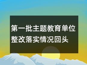 第一批主題教育單位整改落實情況回頭看精選