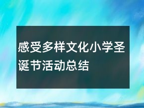 感受多樣文化：小學(xué)圣誕節(jié)活動(dòng)總結(jié)