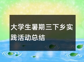 大學生暑期三下鄉(xiāng)實踐活動總結(jié)