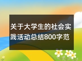 關(guān)于大學(xué)生的社會(huì)實(shí)踐活動(dòng)總結(jié)800字范文