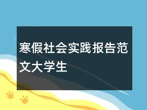 寒假社會實(shí)踐報告范文大學(xué)生