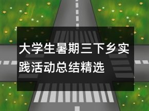 大學(xué)生暑期三下鄉(xiāng)實(shí)踐活動(dòng)總結(jié)精選