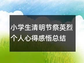 小學生清明節(jié)祭英烈個人心得感悟總結范文