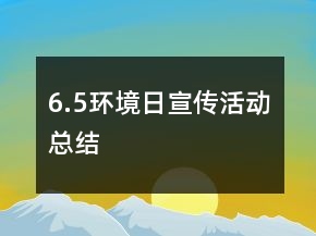 6.5環(huán)境日宣傳活動總結(jié)