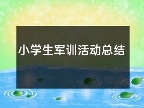 小學(xué)生軍訓(xùn)活動總結(jié)