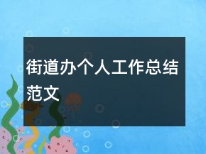 街道辦個人工作總結(jié)范文
