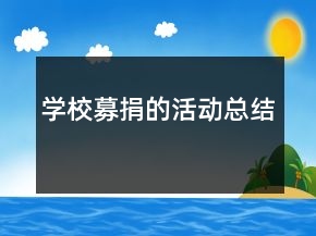 學校募捐的活動總結