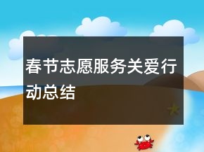 春節(jié)志愿服務(wù)關(guān)愛(ài)行動(dòng)總結(jié)