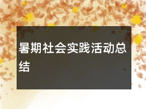 暑期社會實(shí)踐活動總結(jié)