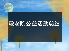 敬老院公益活動總結(jié)