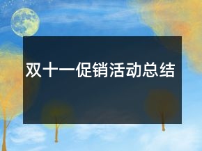 雙十一促銷活動總結(jié)
