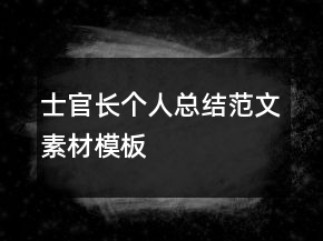 士官長(zhǎng)個(gè)人總結(jié)范文素材模板