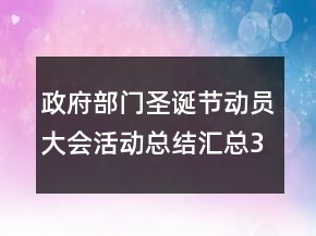 政府部門圣誕節(jié)動(dòng)員大會(huì)活動(dòng)總結(jié)匯總3分鐘