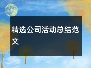 精選公司活動總結(jié)范文
