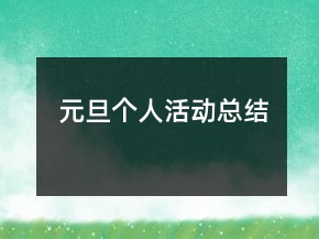 元旦個人活動總結