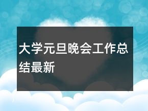 大學元旦晚會工作總結最新