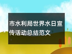 市水利局世界水日宣傳活動總結范文