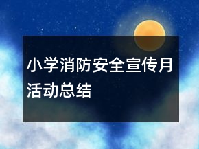 小學(xué)消防安全宣傳月活動總結(jié)