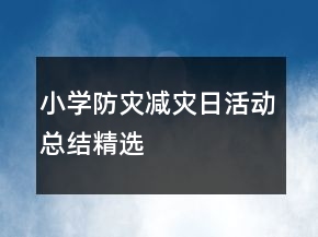 小學(xué)防災(zāi)減災(zāi)日活動總結(jié)精選