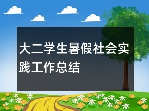 大二學(xué)生暑假社會實踐工作總結(jié)