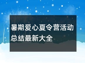 暑期愛心夏令營(yíng)活動(dòng)總結(jié)最新大全