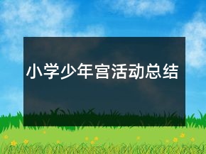 小學(xué)少年宮活動(dòng)總結(jié)