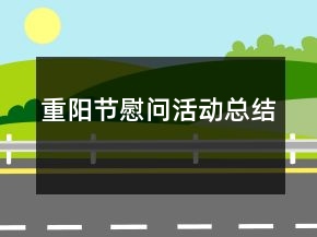 重陽(yáng)節(jié)慰問活動(dòng)總結(jié)