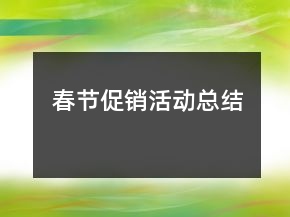 春節(jié)促銷活動總結(jié)