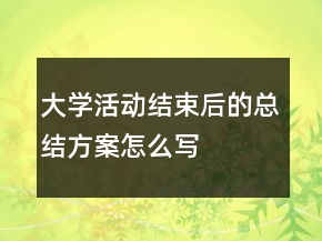 大學(xué)活動結(jié)束后的總結(jié)方案怎么寫