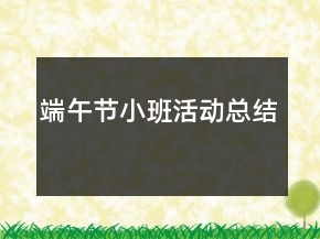 端午節(jié)小班活動總結(jié)