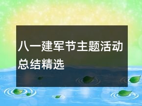 八一建軍節(jié)主題活動(dòng)總結(jié)精選