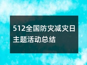 512全國(guó)防災(zāi)減災(zāi)日主題活動(dòng)總結(jié)