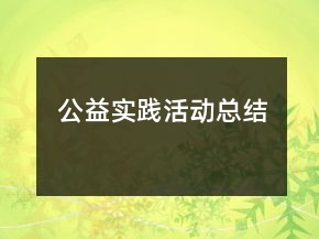 公益實(shí)踐活動(dòng)總結(jié)