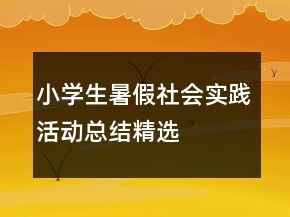小學(xué)生暑假社會(huì)實(shí)踐活動(dòng)總結(jié)精選